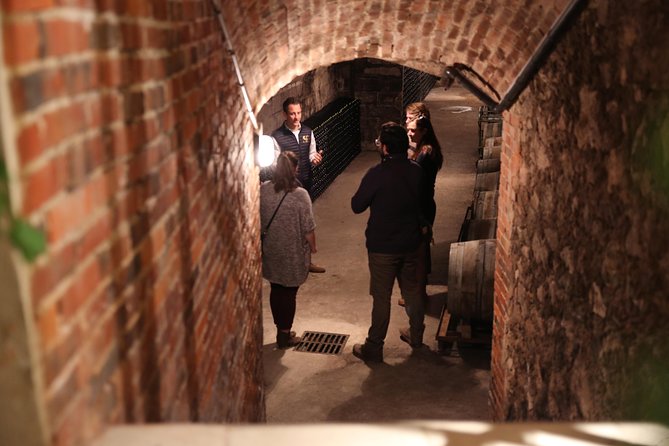 Small Group - Full Day Champagne Tour 3 Small Champagne Growers - Group Size and Language
