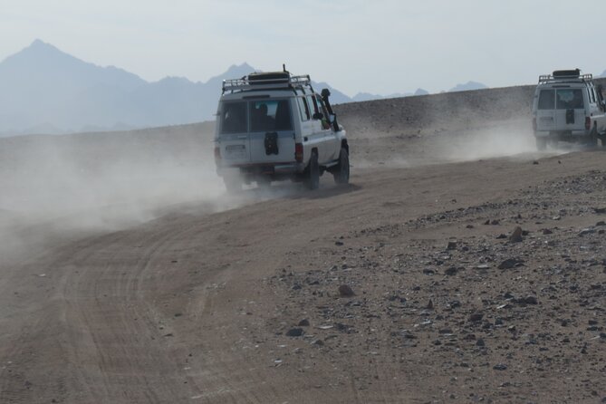 Small Group Full Day Hurghada Experience With BBQ and Show - Key Points