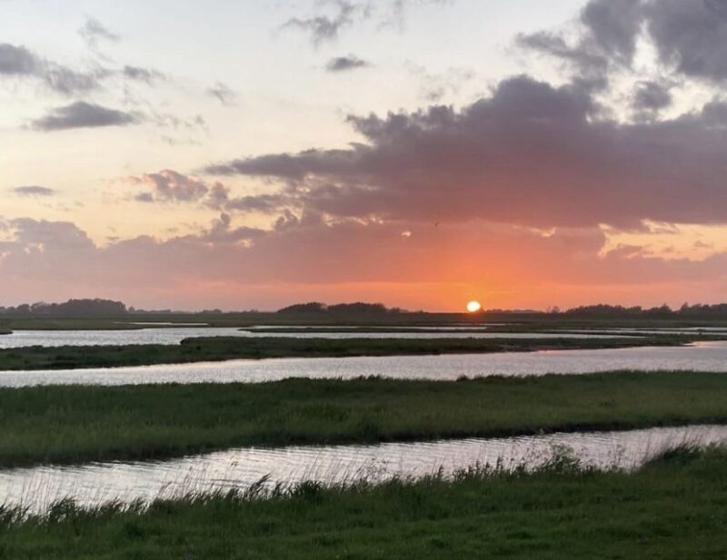 Small Group Full Day Island Tour to Texel From Amsterdam - Itinerary Highlights