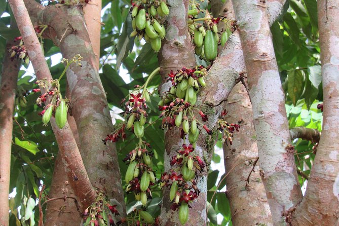 Small-Group Full-Day Khao Sok Nature Tour From Khao Lak - Tour Duration