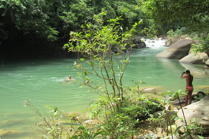 Small-Group Full-Day Khao Sok Nature Tour From Khao Lak - Local Market Visit