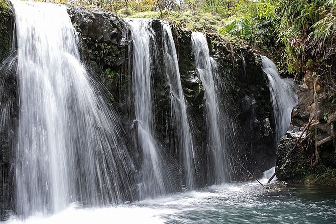 Small Group Full Day Road to Hana Adventure - Accessibility and Fitness