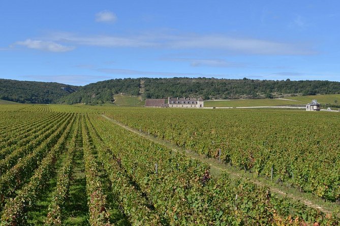 Small-Group Full-Day Tour of Côte De Nuits, Côte De Beaune Vineyards and Beaune Historical District - Inclusion Details