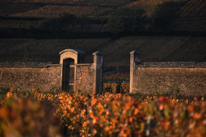 Small-Group Full-Day Tour of Côte De Nuits, Côte De Beaune Vineyards and Beaune Historical District - Scenic Drive Through Vineyards