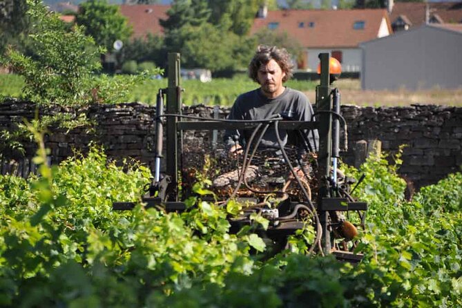 Small-Group Full-Day Tour of Côte De Nuits, Côte De Beaune Vineyards and Beaune Historical District - Free Time in Beaune