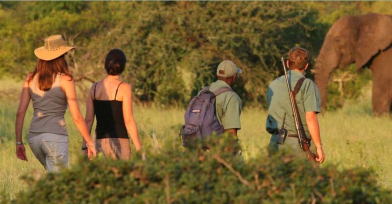 Small Group Garden Route- Departs CapeTown Wednesdays 5 Days - Accessibility and Pickup