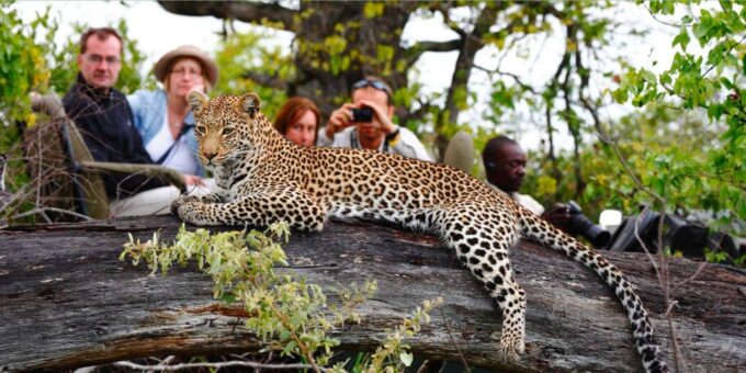 Small Group Garden Route- Departs CapeTown Wednesdays 5 Days - Frequently Asked Questions