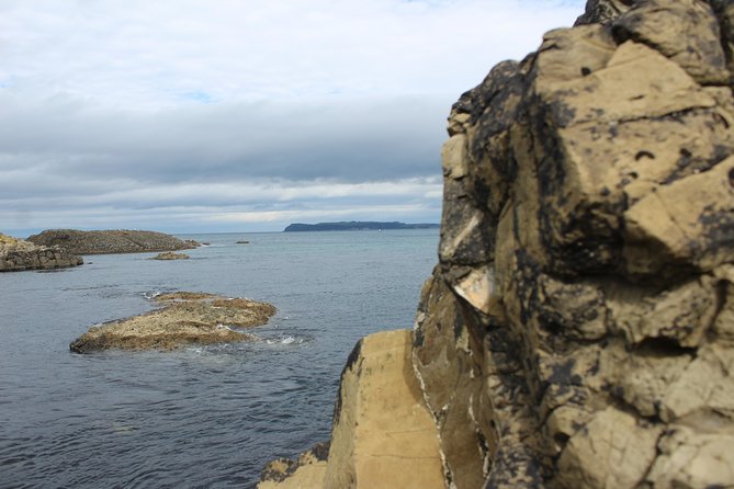 Small Group Giants Causeway Day Tour From Belfast - Group Size and Pricing