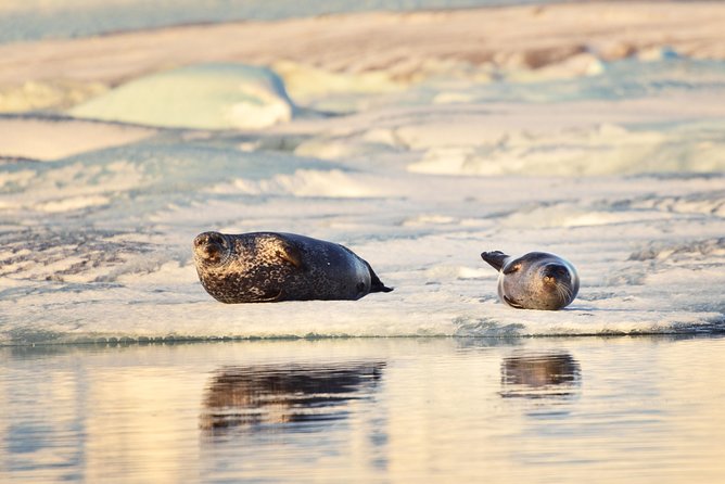 Small-Group Glacier Lagoon (Jokulsarlon) Day Trip From Reykjavik - Inclusions and Exclusions