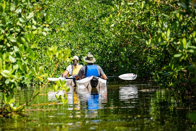 Small Group Glass Bottom Kayak Adventure- Cayman Islands - About Your Stay