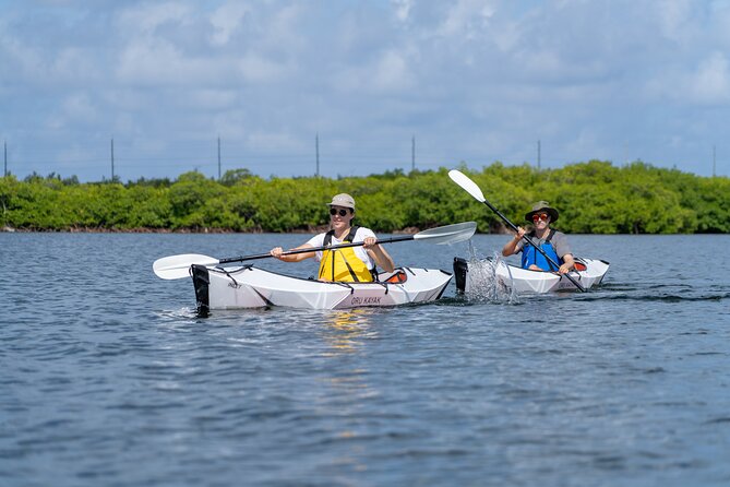 Small Group Glass Bottom Kayak Adventure- Cayman Islands - Included Equipment and Gear