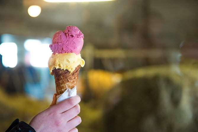 Small-Group Golden Circle Full-Day Tour From Reykjavik - Tour Modifications