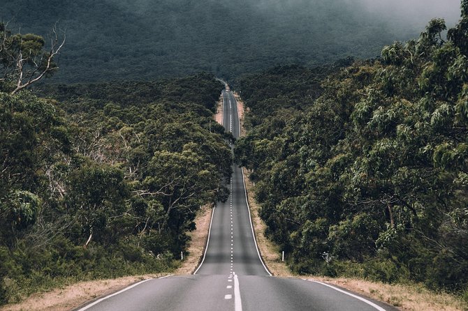 Small Group - Grampians Hiking Day Tour From Melbourne - Physical Fitness Requirements
