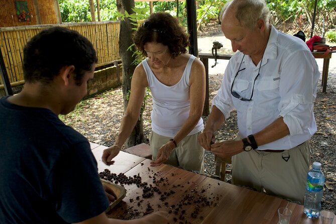 Small Group Guayaquil and Cocoa Farm Full-Day Tour - Tour Inclusions