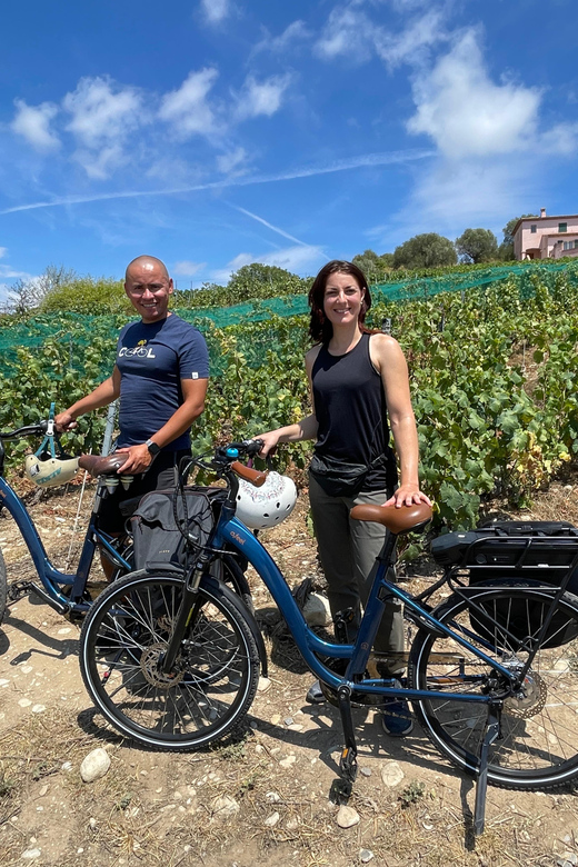 Small Group Guided E-Bike Tour in Nice's Organic Vineyard - Key Points