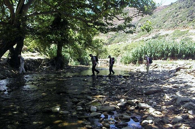 Small-Group Guided Hiking Tour in Andros With Picnic on the Beach - Expert Guide