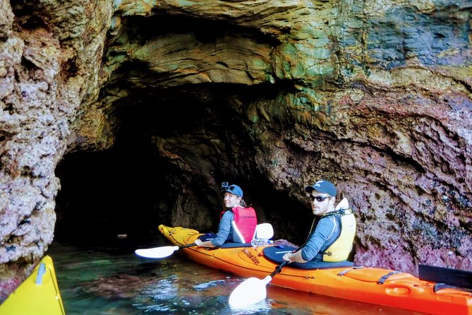 Small Group Guided Sea Kayaking in Akaroa Marine Reserve - Scenic Beauty of Volcanic Basin