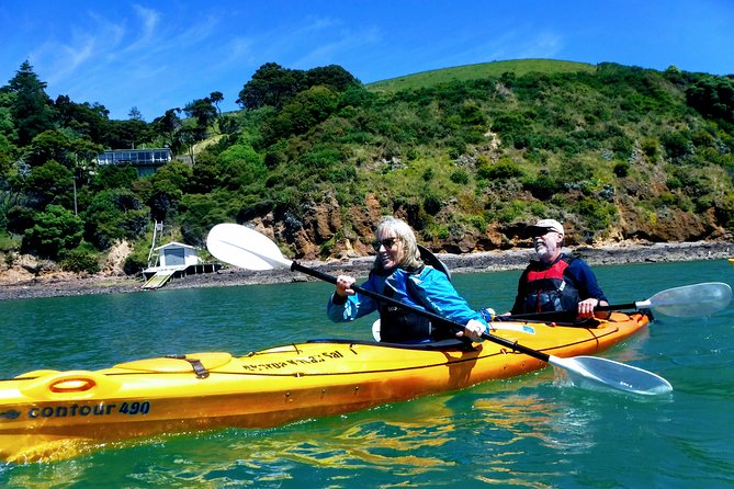 Small Group Guided Sea Kayaking in Akaroa Marine Reserve - Feedback and Reviews