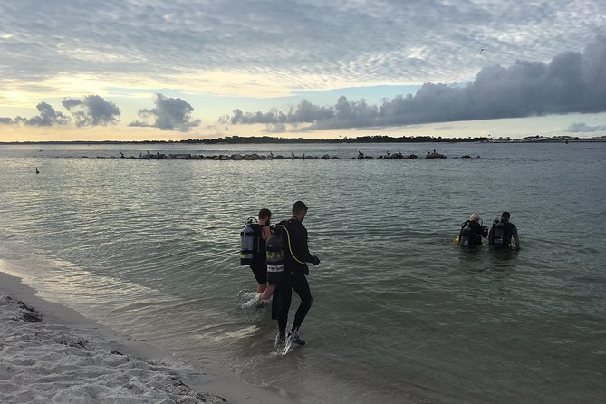Small Group Guided Shore Dives in St. Andrews State Park, Florida - Whats Included in the Dive