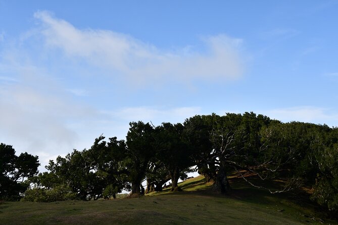 Small Group Guided Sightseeing Tour Visit to Fanal - Scenic Highlights
