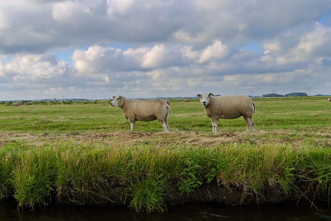 Small-Group Guided Sunset Canoe Tour in Waterland With Dinner - Reviews