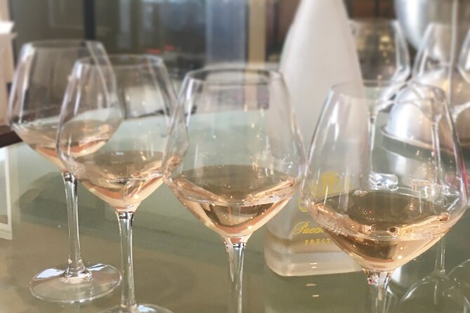 Small Group Half Day Camargue and Rosé Wine Tour From Montpellier - Tour Overview