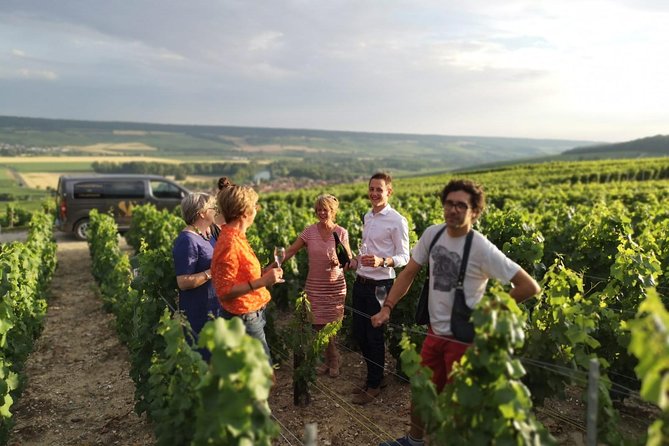 Small Group - Half Day Champagne Tour - Visit of 2 Small Producers/Growers - Champagne Tastings