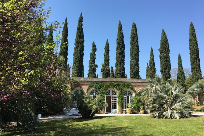 Small-Group Half-Day Châteaux of Montpellier Wine Tour - Customer Feedback Highlights