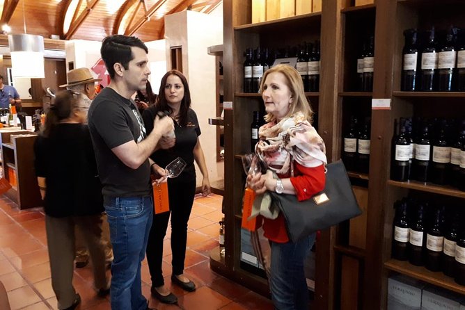 Small-Group Half-Day Concha Y Toro Vineyard Tour With Transportation - Tour Overview