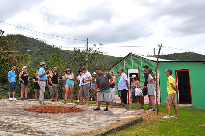 Small Group: Half-Day Cultural Tour of Punta Cana - Tour Overview