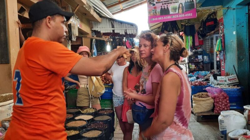 Small Group: Half Day Dominican Republic Cultural Tour - Key Points