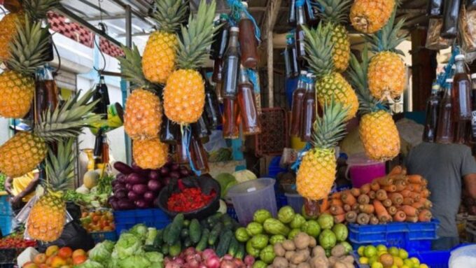 Small Group: Half Day Dominican Republic Cultural Tour - Frequently Asked Questions