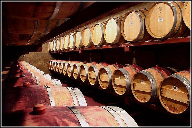 Small Group - Half-Day Hawke's Bay Winery Tour - Exploring the Hawke’s Bay Region