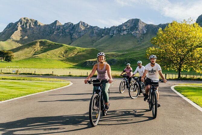 Small Group - Half-Day Hawke's Bay Winery Tour - The Sum Up: Is This Tour Right for You?