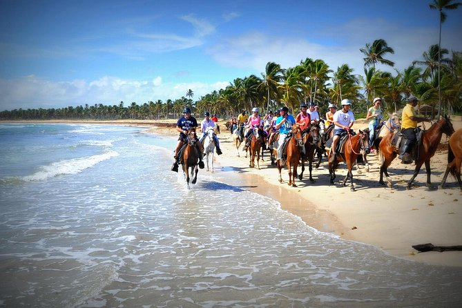 Small-Group Half-Day Horseback Riding Tour From Punta Cana - About Your Stay