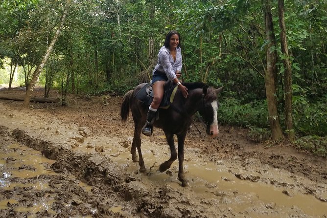 Small-Group Half-Day Horseback Riding Tour From Punta Cana - Inclusions and Exclusions