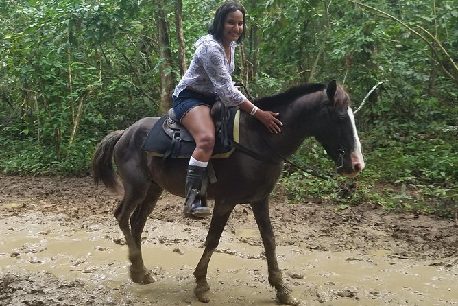 Small-Group Half-Day Horseback Riding Tour From Punta Cana - Meeting and Pickup Details