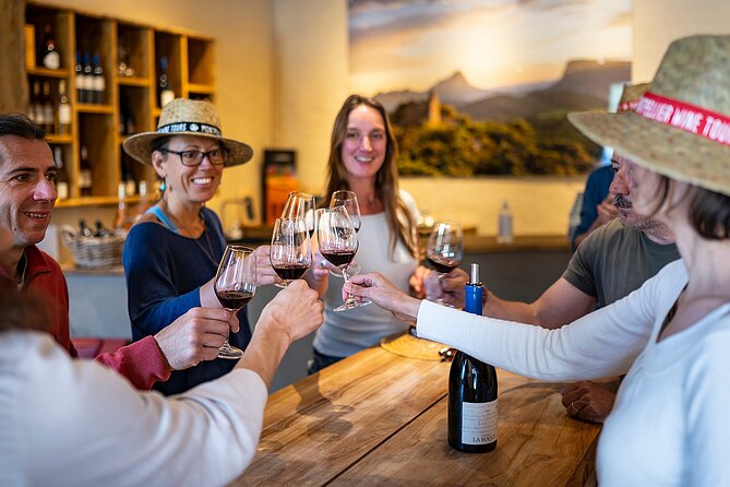 Small-Group Half-Day Languedoc Pic Saint-Loup Wine Tour From Montpellier - Reviews