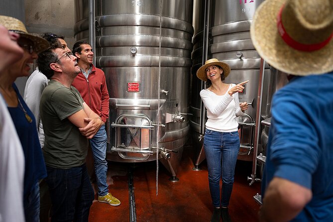Small-Group Half-Day Languedoc Wine and Oyster Tour From Montpellier - Wine Production in a Renaissance-style Castle