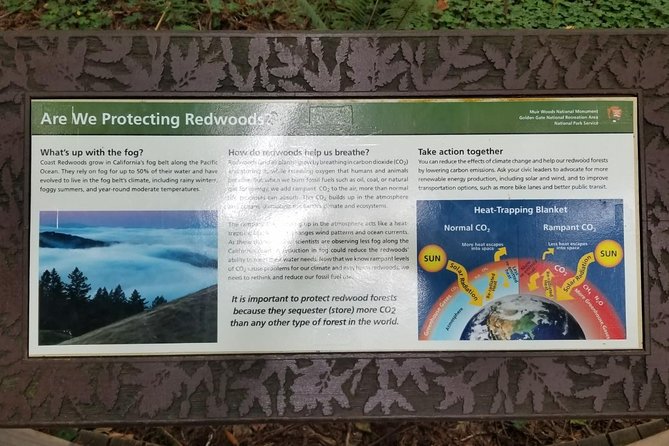 Small-Group Half-Day Muir Woods and Sausalito Afternoon Tour - Tour Details