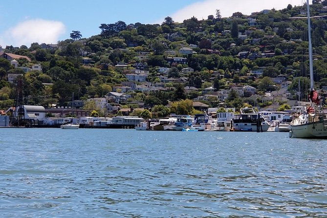 Small-Group Half-Day Muir Woods and Sausalito Afternoon Tour - Ratings and Reviews