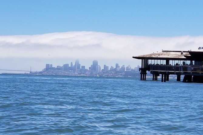 Small-Group Half-Day Muir Woods and Sausalito Afternoon Tour - Explore Muir Woods