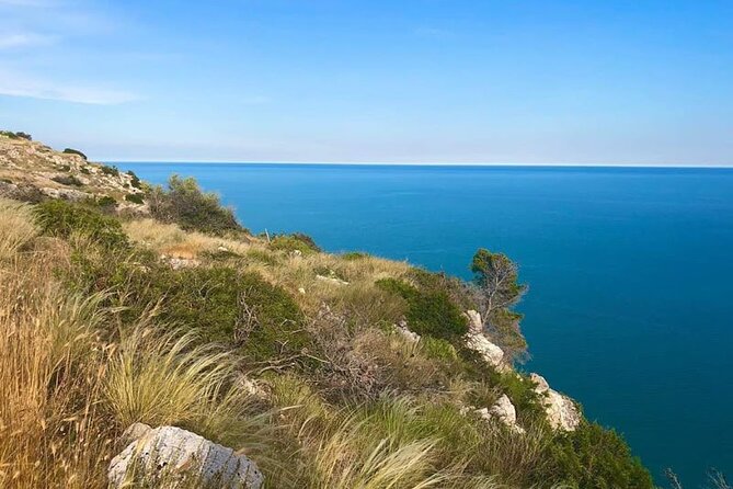 Small Group Half Day Tour of POLIGNANO a MARE and MONOPOLI - Inclusions and Pickup