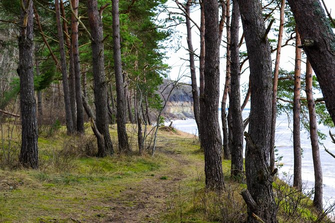 Small-Group Half-Day Tour of Rummu and Coastal Cliffs - Meeting Point and Logistics