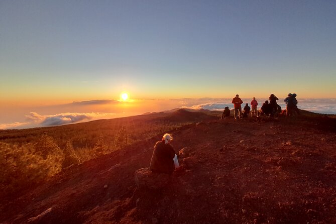Small-Group Half-Day Tour of Teide National Park With Pickup - Customer Service and Responsiveness
