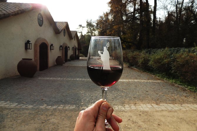 Small-Group Half Day Tour to Concha Y Toro Winery - Additional Details
