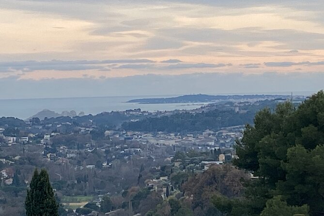 Small-Group Half-Day Tour to St-Paul-De-Vence, Antibes and Cannes From Nice - Guest Reviews