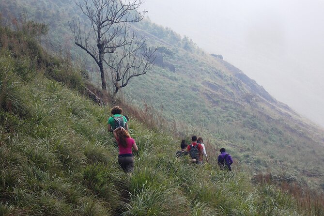 Small-Group Half Day Trekking in Munnar With Breakfast - Physical Fitness Requirements