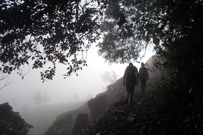 Small-Group Half Day Trekking in Munnar With Breakfast - Transportation to the Activity