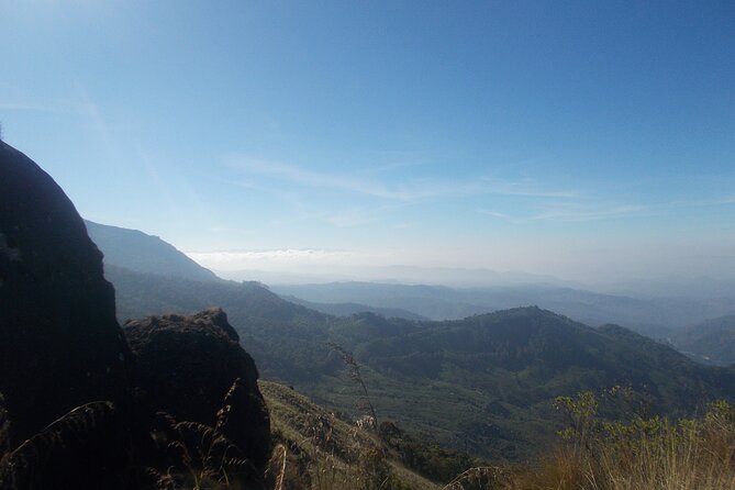 Small-Group Half Day Trekking in Munnar With Breakfast - Breakfast Provided
